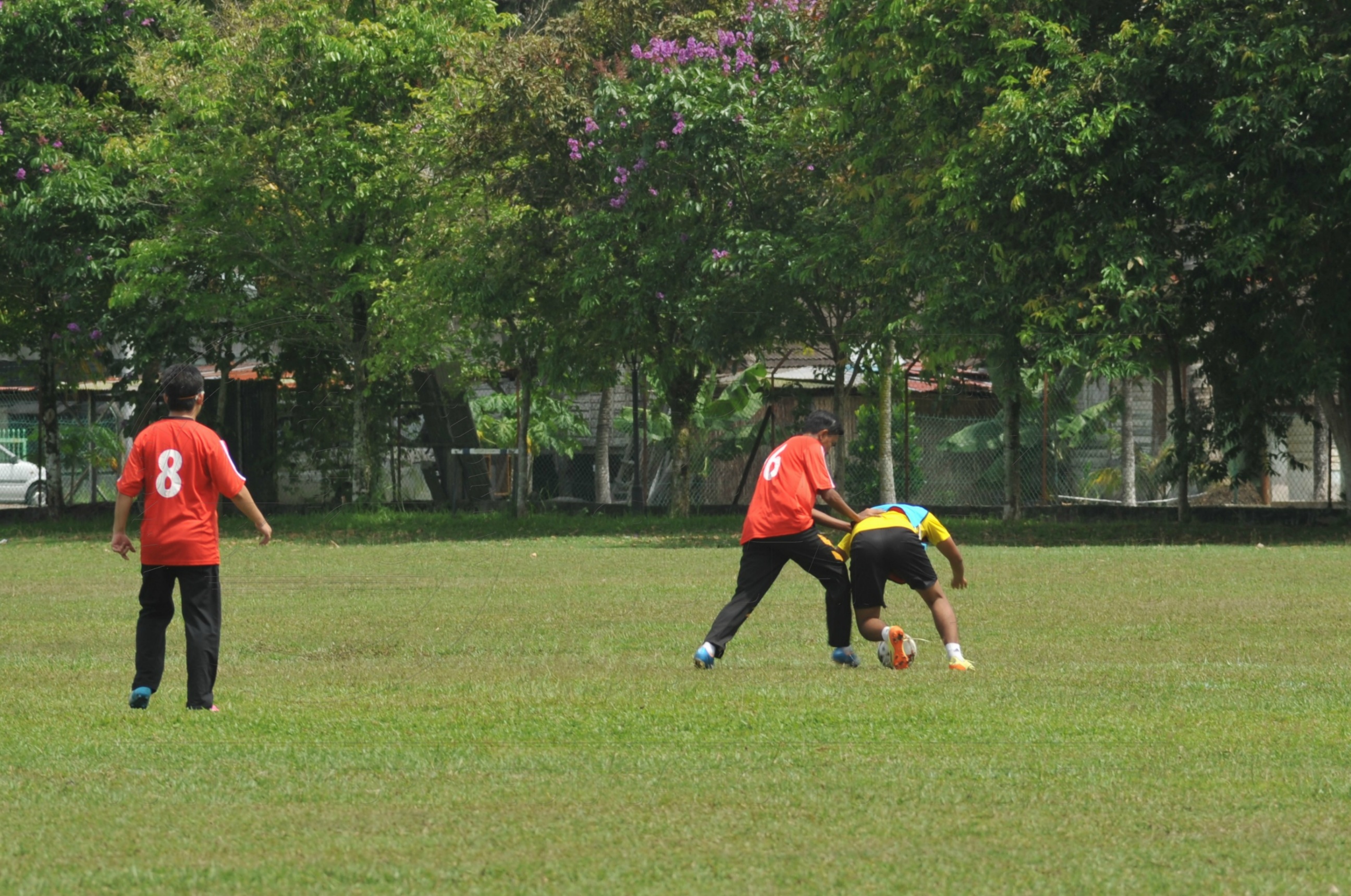 PRO 15 53 KIESTA HAS 6311